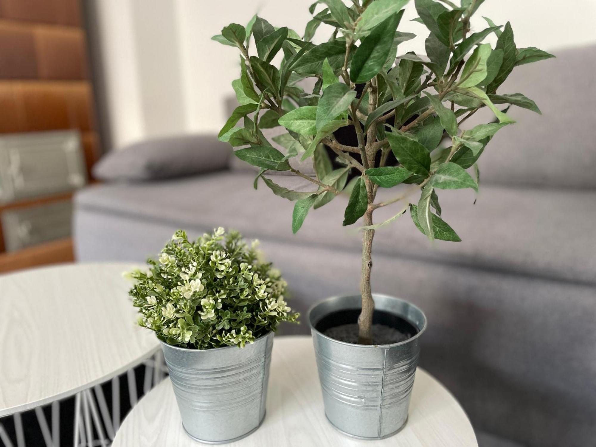 Sonne & Beton Apartment Берлин Екстериор снимка
